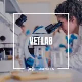 Автоматизация работы ветеринарной лаборатории на платформе 1С